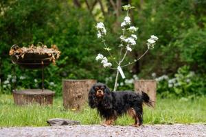 Gîte de charme au milieu du monde