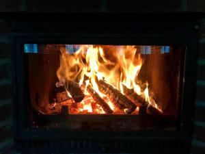 Srokowski Dwór 1 - Leśny Zakątek - Prywatna Sauna!