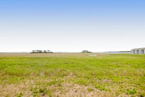 Bethany Bay --- 4703 Pettinaro