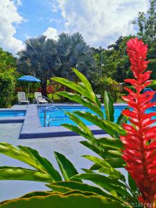 Villas Allen Puerto Viejo