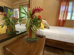 Villas Allen Puerto Viejo