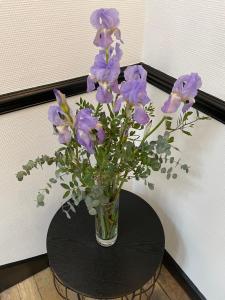 Appartements Les Berceaux de la Cathedrale : photos des chambres