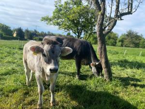 Ferienwohnung auf dem Bauernhof