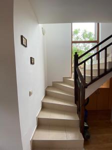 Villa Cabernet 1