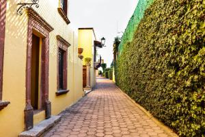 Mirador del Frayle