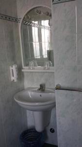 PET FRIENDLY HOTEL MIRABEAU