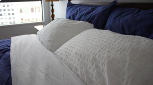 Your Vacation Home Downtown Vancouver