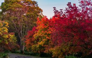 True North - 4BR Home & Garden in Bush Setting with Huge Bath