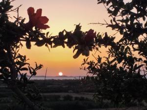 Naxian vacation with sea view Naxos Greece