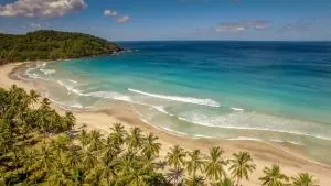 Blue Moon Guesthouse - Lucbuan