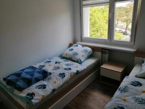 Apartament Tygrysek