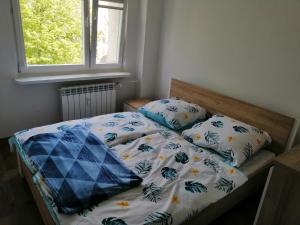 Apartament Tygrysek