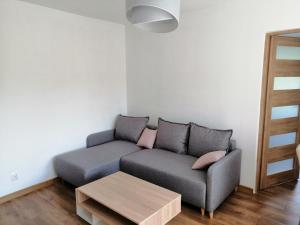 Apartament Tygrysek