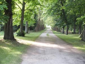 Château de Nazé Vivy-Saumur
