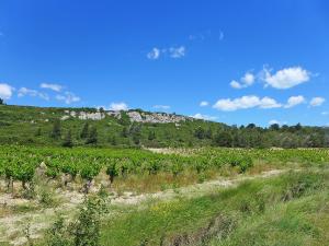 Appartements Apartment Les Vendanges by Interhome : photos des chambres