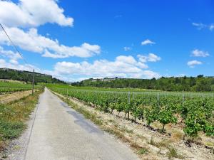 Appartements Apartment Les Vendanges by Interhome : photos des chambres