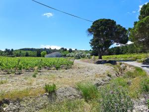 Appartements Apartment Les Vendanges by Interhome : photos des chambres