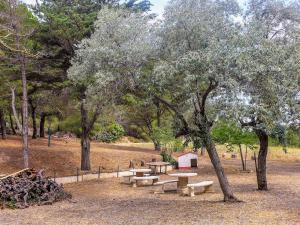 Appartements Apartment Les Vendanges by Interhome : photos des chambres