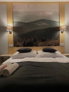 Karolowy pokojeapartamenty