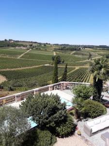 B&B / Chambres d'hotes Chateau de la Grave : Chambre Double ou Lits Jumeaux Supérieure - Vue sur Piscine