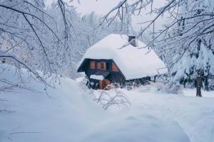 Cottage in the woods - Lake Bohinj