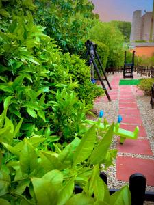 Residenze LIsola Surf House