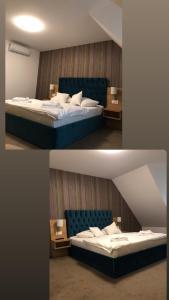 Vila Turistica Principesa Margareta