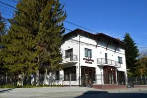 Pensiunea Alesia - Runcu