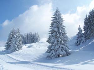 Hotels Hotel Mont Thabor Serre Chevalier : photos des chambres