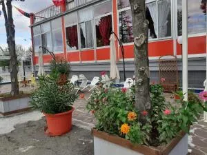 Hotel Paradiso - 卡斯泰尔夫兰科埃米利亚