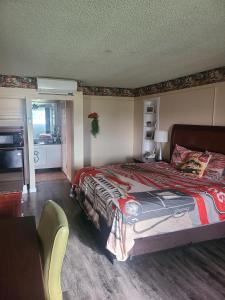 Budget Single Room room in Route 66 Hotel Springfield Illinois