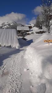 La Ferme du Nant photo 24