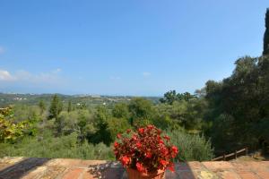 Villa Kardami -country house Corfu Greece