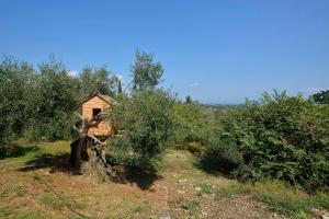 Villa Kardami -country house Corfu Greece