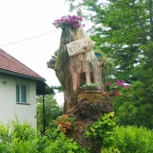 Apartments Čelopek - Željava