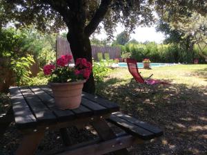 Maisons d'hotes Saba : photos des chambres