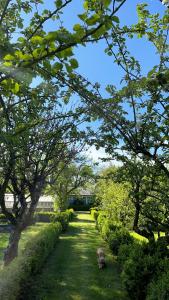 Hotels St-Valery sur Somme - Chateau de Noyelles - Maison de vacances : photos des chambres