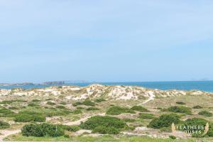 Baleal Dream