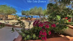 Villa Cala Bianca