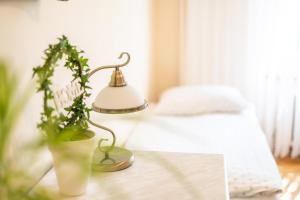 Pod Różą Wiatrów