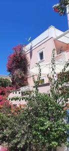 Villa Rodanthos Aegina Greece