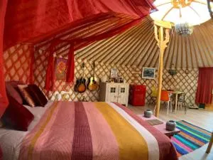 Overnachten in een luxe yurt! - Beldert