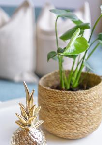 Appartements Klausner