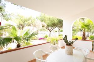 Villaggio Camping Oasi