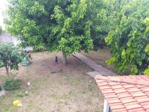 Alojamento Local, Cantinho Verde