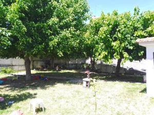 Alojamento Local, Cantinho Verde