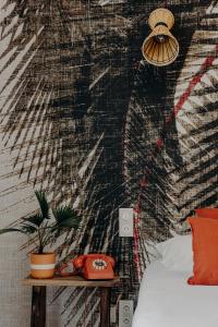 Hotels Hotel PALMITO : photos des chambres