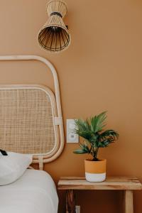Hotels Hotel PALMITO : photos des chambres