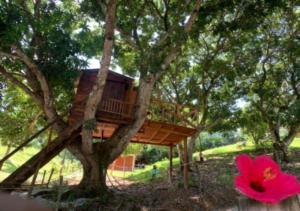 Eco-Glamping Shalom