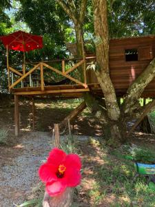 Eco-Glamping Shalom